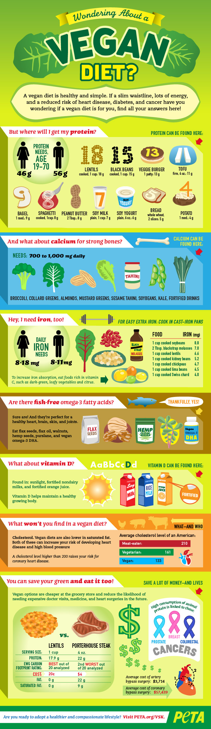 Vegan diet infographic